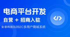 安菲科技外貿(mào)電商平臺能滿足哪些需求