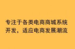 商城系統(tǒng)要如何進行引流？電商網站的推廣方法有哪些