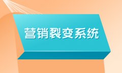 開源網(wǎng)店系統(tǒng)怎么進(jìn)行推廣？開源網(wǎng)店系統(tǒng)的推廣方式