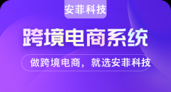 跨境電商平臺(tái)有哪些前期費(fèi)用