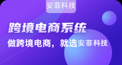 2020年開發(fā)跨境電商系統(tǒng)能做嗎
